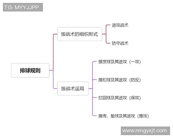 深圳排球队总决赛表现分析：意识与战术的完美结合探讨